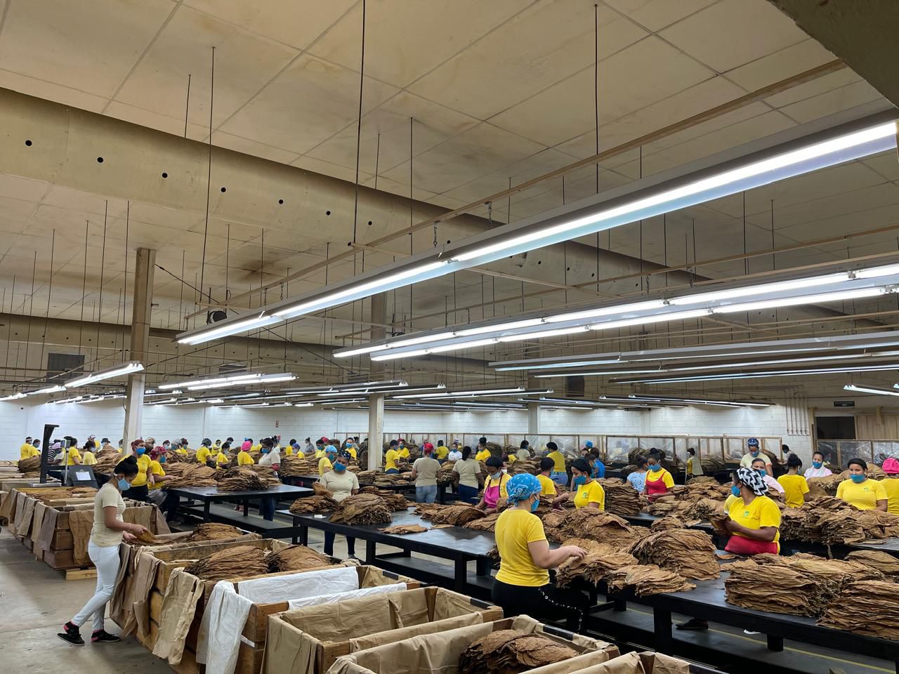 WhatsApp Image 2024-09-05 at 3.32.12 PM