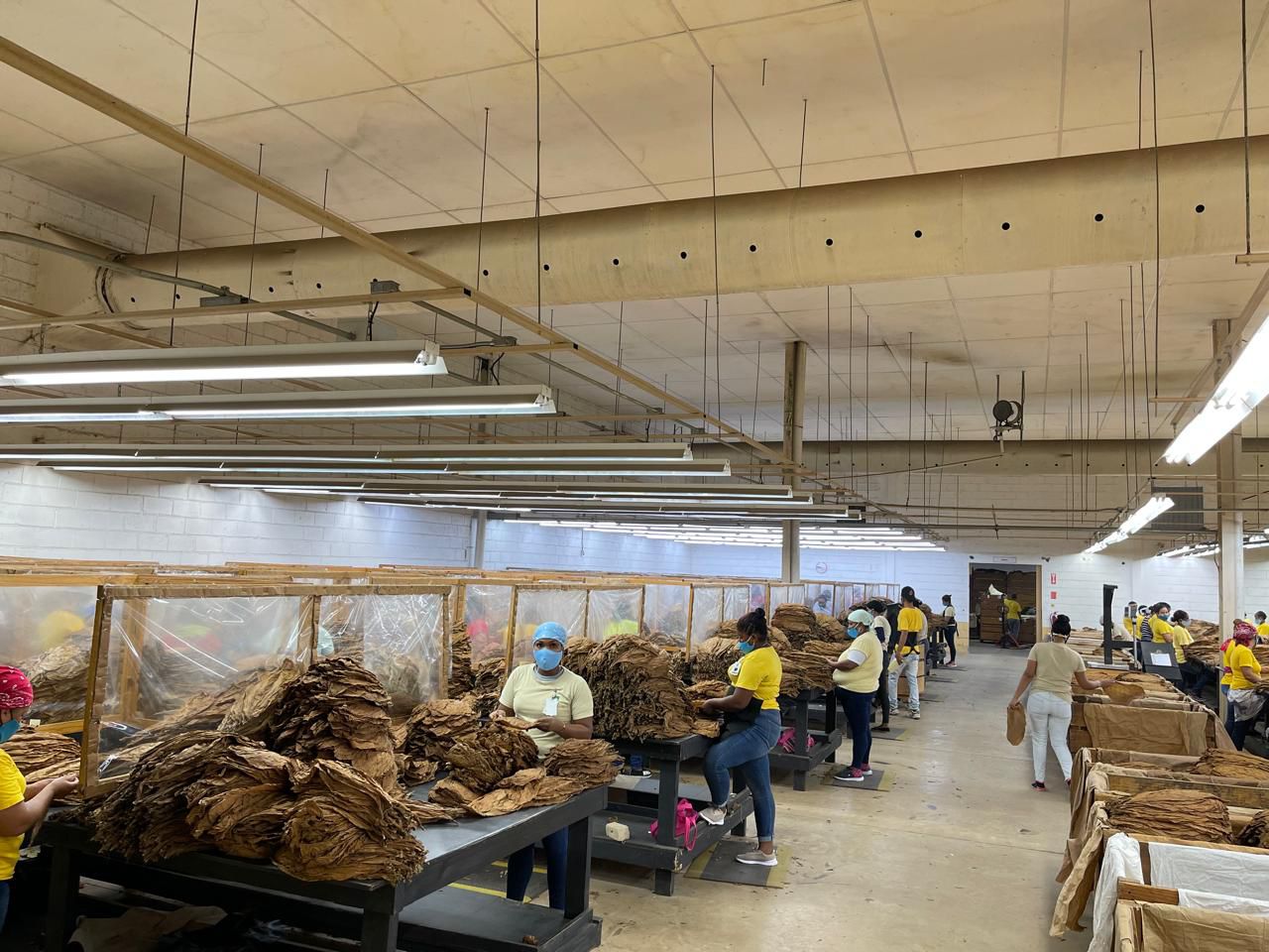 WhatsApp Image 2024-09-05 at 3.32.13 PM