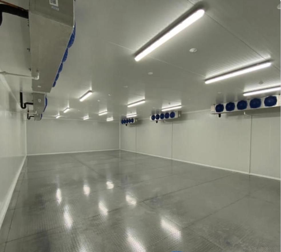 WhatsApp Image 2024-09-05 at 3.32.17 PM (1)