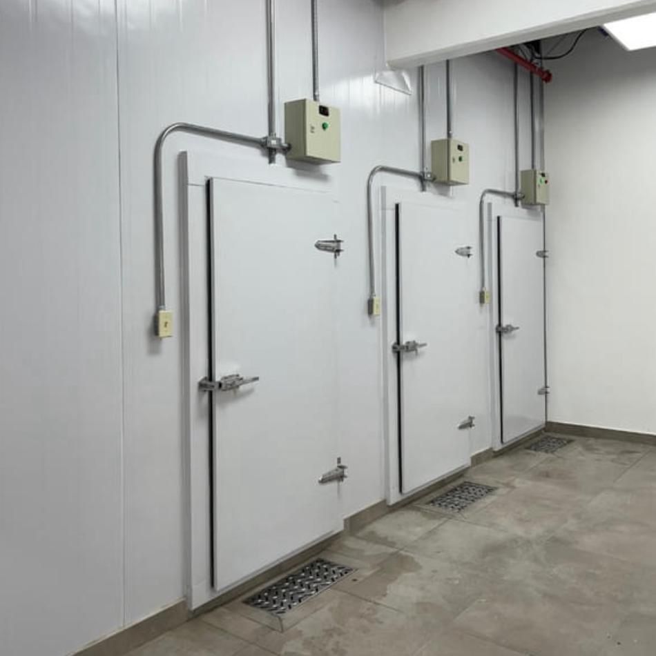 WhatsApp Image 2024-09-05 at 3.32.17 PM