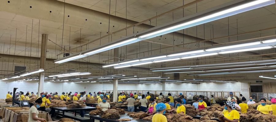 WhatsApp Image 2024-09-05 at 3.32.12 PM