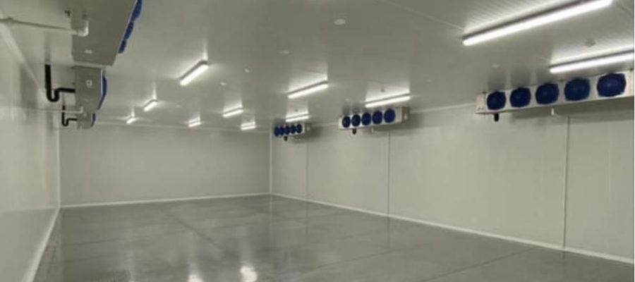 WhatsApp Image 2024-09-05 at 3.32.17 PM (1)