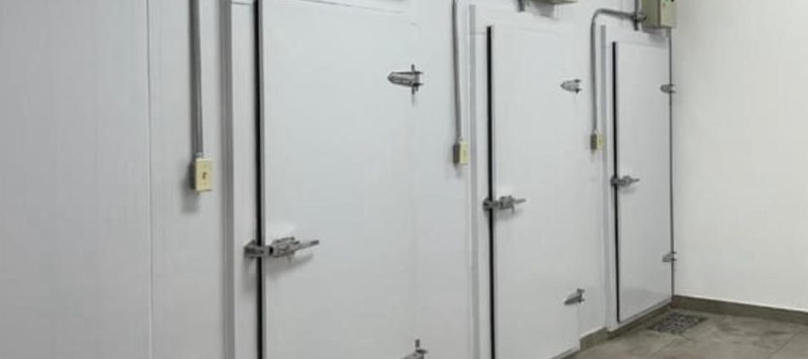 WhatsApp Image 2024-09-05 at 3.32.17 PM