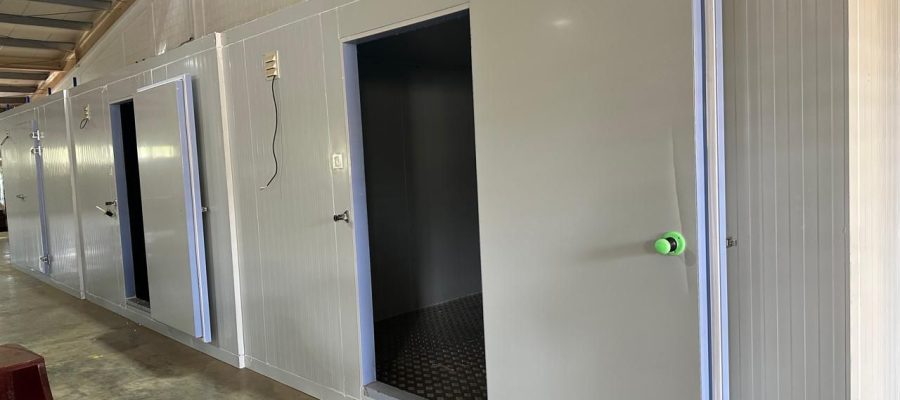 WhatsApp Image 2024-09-05 at 3.32.18 PM (1)